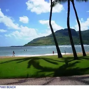 https://banyan-harbor.hotelsinhawaii.org
